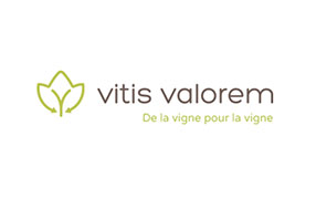 Saint Vincent Tournante Gevrey Chambertin 2020 - Vitis Valorem